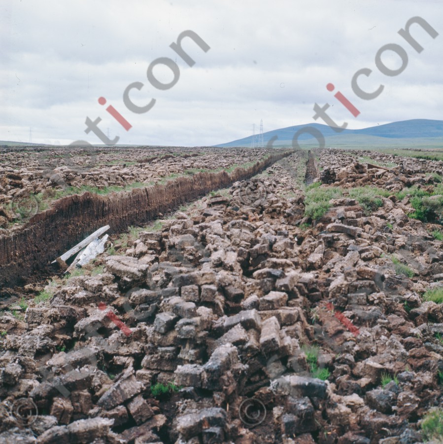 Torffeld | Peat field (foticon-hofmann-001-002.jpg)